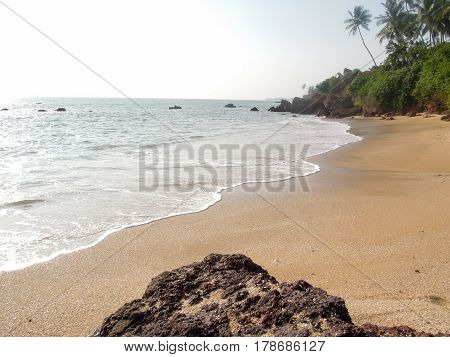 Coconut Palms On The Beach Near The Village Of Thottada
