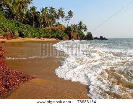 Coconut Palms On The Beach Near The Village Of Thottada