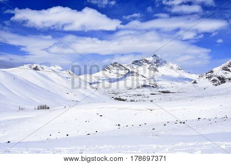 Barf Anbar, Fereydunshahr ski resort, Esfahan, Iran in the spring time