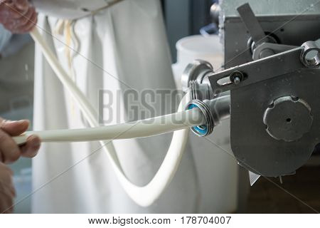 Production Of Italian Mozzarella.