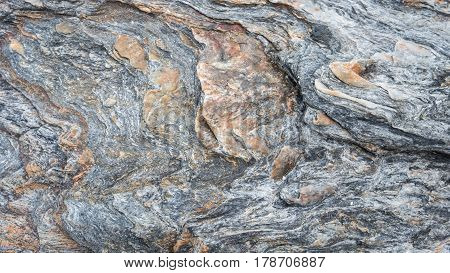 Natural rough color rocks on shore background