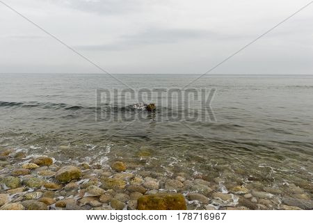 The coast of the urbanization cap and corp in alcocebre