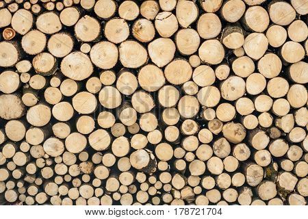 A log of firewoods with round ends