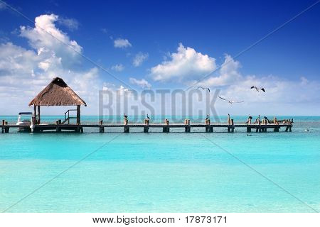 Caribien tropisk strand hytte pier Contoy ø Mexico