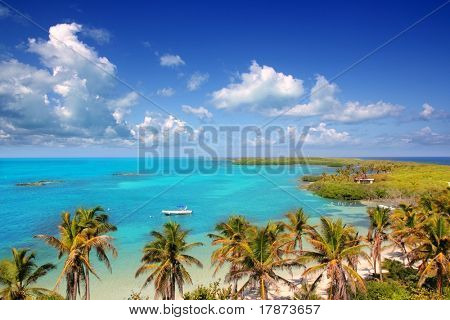 Luftfoto Contoy tropiske caribiske ø Mexico palmer og havet