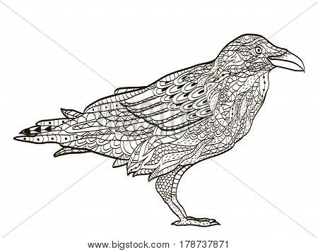 bird raven coloring book for adults vector illustration. Anti-stress coloring for adult. Zentangle style nature. Black and white lines. Lace pattern.