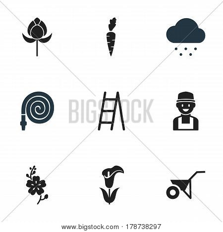 Set Of 9 Editable Garden Icons. Includes Symbols Such As Farmer, Handcart, Lily. Can Be Used For Web, Mobile, UI And Infographic Design.