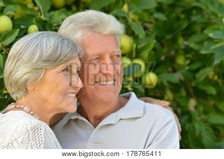 Portrait of a happy elderly couple embracing outdoors in nature