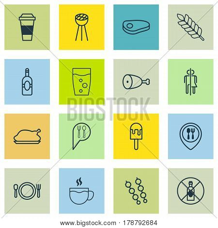 Set Of 16 Eating Icons. Includes Steak, Hooch, Chicken Fry And Other Symbols. Beautiful Design Elements.