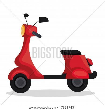 skooter motorcycle isolated icon vector illustration design