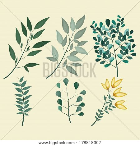 green leaves branch floral tree vector illustration