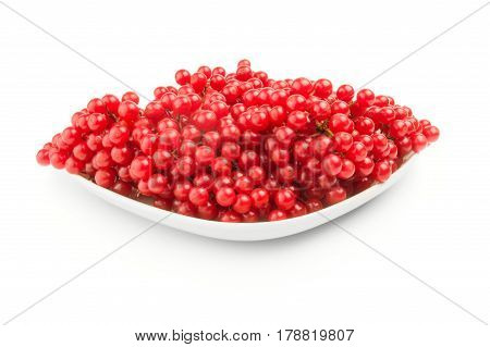 Pimbina berries isolated on a white background with clipping path