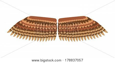 Wings isolated animal feather pinion bird freedom flight and natural hawk life brown design flying element eagle winged side shapevector illustration. Beauty haven soft anatomy graphic.