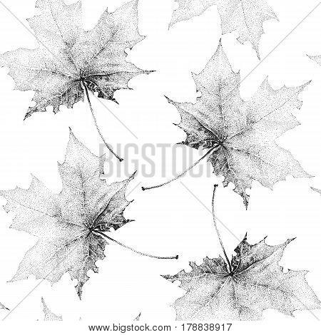 Seamless vintage pattern with a large black maples leaf on a white background.