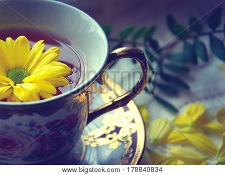 Still life with a nice Cup of black tea and gelnam flower. Beautiful background with a Cup of tea and flowers.