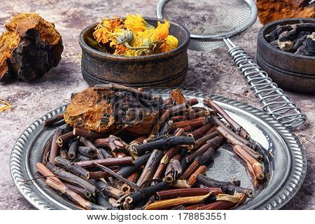 Healing Gathering Roots And Herb
