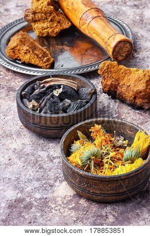 Healing Gathering Roots And Herb