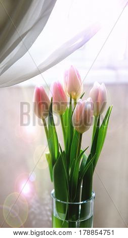 Pink tulips on the background of a window in a glass vase.