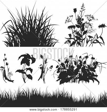 Illustration with Grass, Isolated on White Background. Objects for your design projects: banners, business cards, posters, textiles.