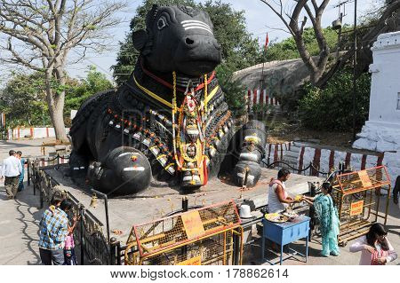 Mysore india - 23 January 2015: The Nandi bull on Chamundi Hill is a particularly notable statue that dates from 1659 and pilgrims from all over India climb over 1000 steps to pay their respects