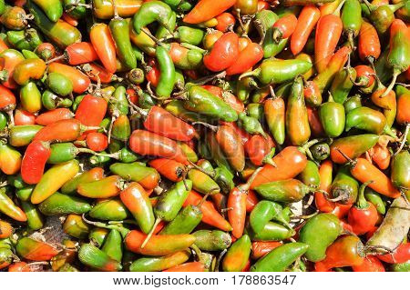 Chili Peppers At The Market Of Devaraja At Mysore