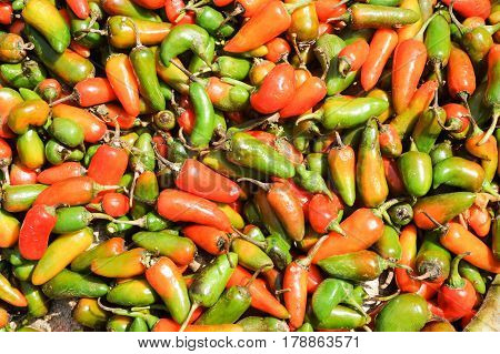 Chili Peppers At The Market Of Devaraja At Mysore