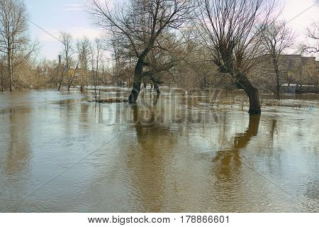 Spring flood in the village river overflow