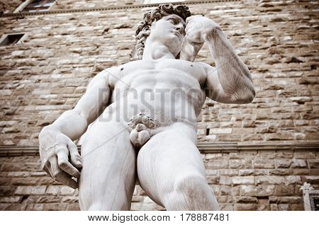 The statue of David by Michelangelo on the Piazza della Signoria in Florence, Italy