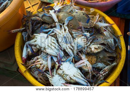 Sale Of Crabs In The Markets Of India