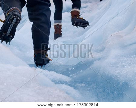 Group Of Tourists Trekking On A Glacier