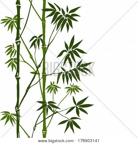 Green bamboo seamless vertical border on white background. Tropical wallpaper, nature textile print, template with text place.