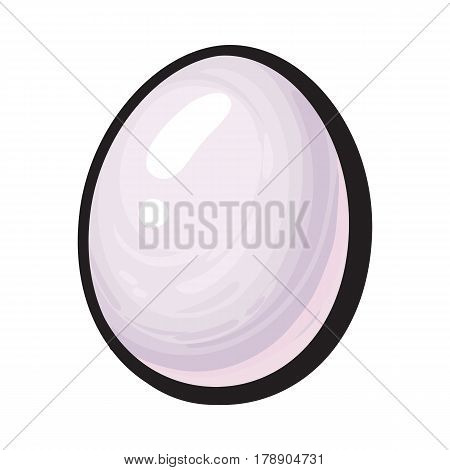 Single whole hard boiled, peeled, unshelled chicken egg, sketch style vector illustration isolated on white background. Hand drawn, sketched single peeled boiled chicken egg