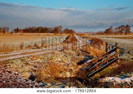 Cold Weather Meadows