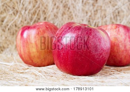 Fresh ripe apples on the straw rustic background.