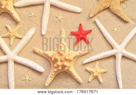 beach sand as background with colored starfish