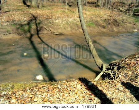Puddle Dive