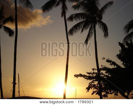 Tropical Dusk 2 - Maui