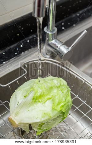 washing fresh cabbage on sink vertical composition