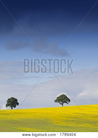 Dansk landskabet