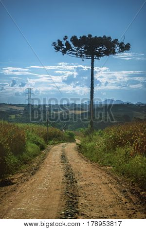 Campo Magro in the Metropolitan Region of Curitiba is located to the northwest of the Region. City of the State of Paraná Brazil.
