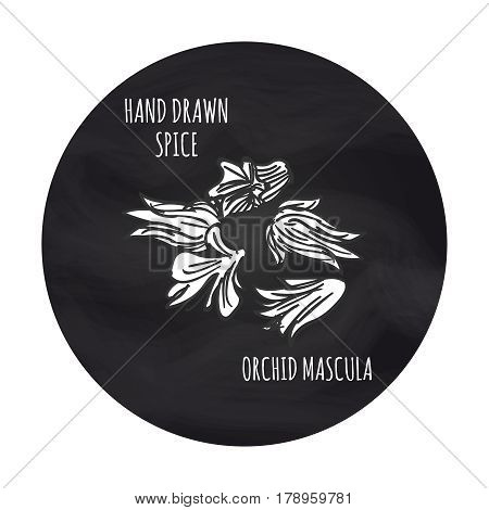 Hand drawn spice vector ilustration. Black and white orchid mascula icon on blackboard backdrop