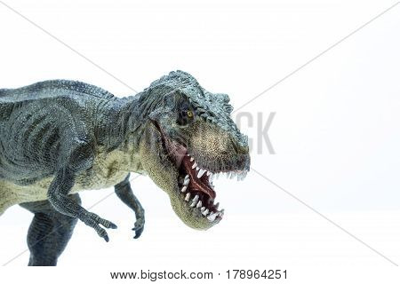 Head Close Of Green Dinosaur Tyrannosaurus Rex With Open Mouth In Attack Position - White Background
