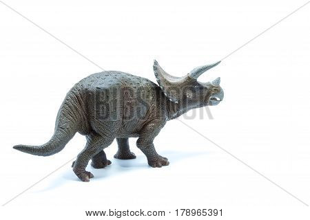 Triceratops Dinosaurs Toy Isolated On White Background - Back View