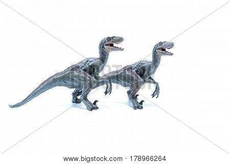 Two Great Velociraptor Dinosaurs Toy Side By Side Isolated On White Background - Side View