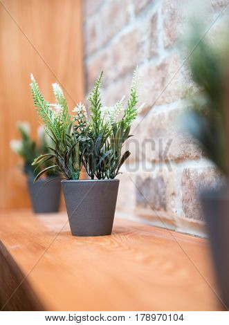 Flowers In Flover Pot In Home Interior