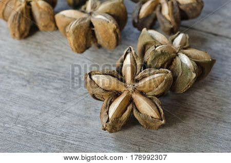sacha inchi seed herbs use medicinaly omega three on wood background