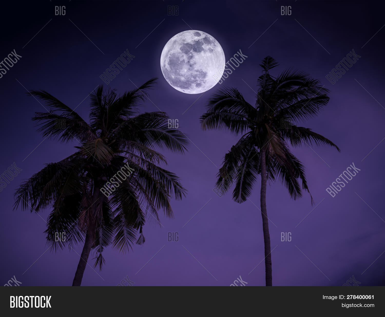 Beautiful Night Image Photo Free Trial Bigstock
