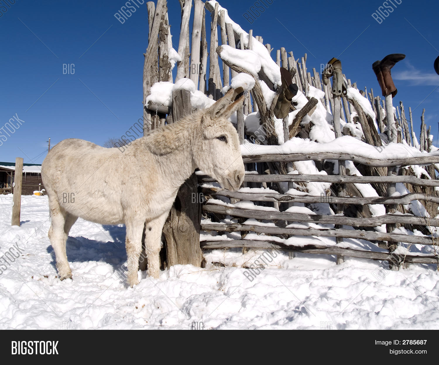 осел в сугробе