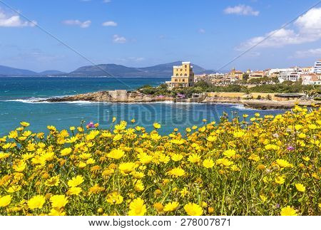 Mediterranean Seacoast In Alghero City, Sardinia, Italy. Spring Flowers And Trees On Foreground, Col