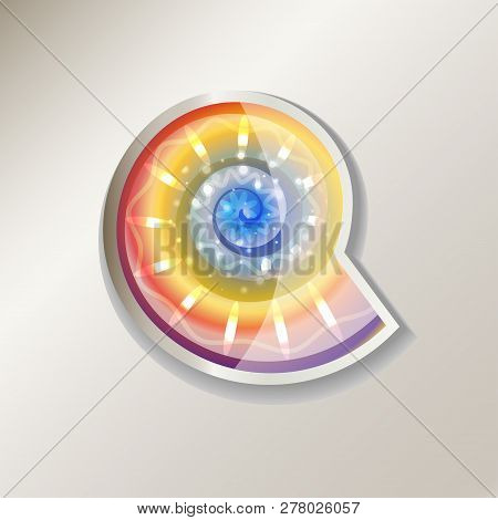 Sticker Of Colorful Nautilus Pampilius. Sticker Of Colorful Nautilus Pampilius.colorful Snail Shell 